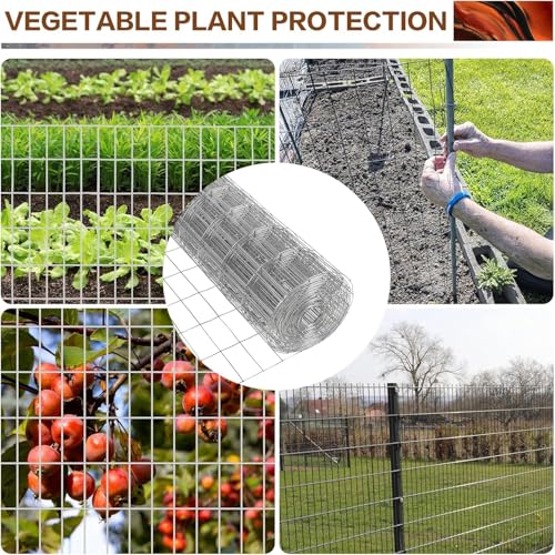 Tongmo 4 ft x 50 ft Galvanized Welded Chicken Wire Fence, 16GA Garden Chicken Wire Fence Roll, Mesh Size 2" x 4"Hardware Cloth, Ideal for Yard Protection and Poultry Netting - color: Galvanized, size: 4ft*50ft