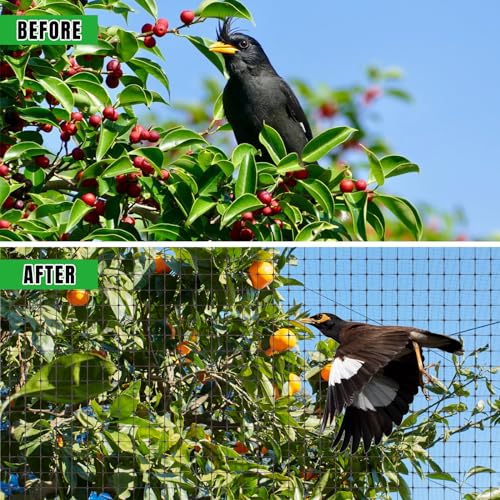 NONMON Bird Netting Deer Fence Netting 2 Pack 5x100FT | Heavy Duty Garden Netting for Chicken Coop, Fruit Trees, Plants, Vegetables Against Birds, Deer, Squirrels and Other Animals - size: 5 x 100ft - 2 Pack