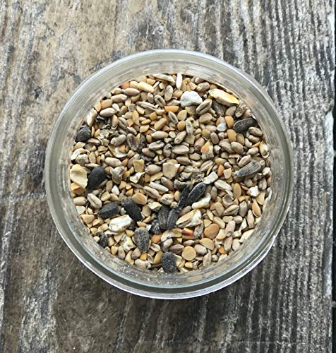 Non-GMO Whole Grain Layer Blend 16% - Chicken Feed for Laying Hens and Ducks - Includes Essential Oils, Herbs, Oyster Shells, Vital Minerals, and Omega 3, 10lb - size: 10 Pound (Pack of 1)