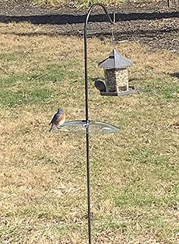 2 Pack 13 1/2 Inch Clear Glass Squirrel Baffle Weather Guard for Shepherd Hook or Bird Feeding Station Pole or Hanging Bird Feeders
