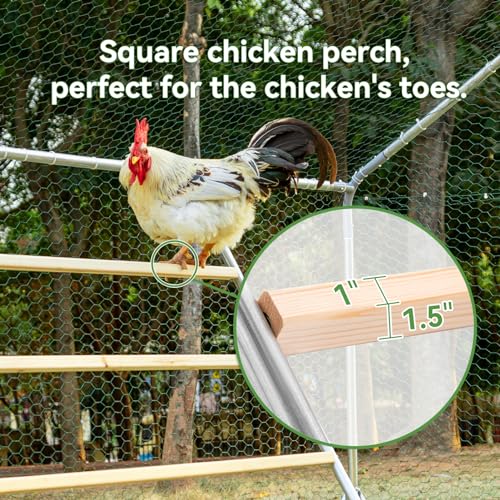 PETSFIT Square Chicken Roosting Perch, 55"x40", 8-10 Chickens | Solid Fir Wood,Chicken Perch for Backyard Farms, Coops, Encourages Exercise and Natural Behavior,Easy Assembly and Clean - size: 55.0"L x 40.0"W x 2.5"H