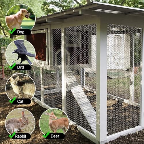 Amagabeli Chicken Wire Fencing Poultry Wire Netting 36inch x 50ft 2 Inch Hexagonal Galvanized Mesh Garden Fence Animal Barrier for Garden Protection Craft Rabbit Cage Dog Roll Chicken Coop Accessories - size: 2" 36"x50'