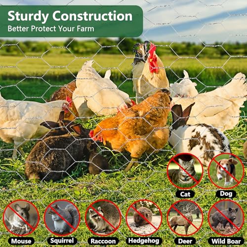 ROADPLUM Chicken Wire Mesh 13.8 x 157 in, Rustproof Galvanized Iron Garden Fence Barrier for Pet Rabbit Cat, Floral Chicken Wire Netting to Protect Poultry Plant Fruit - size: 13.8 x 157 in