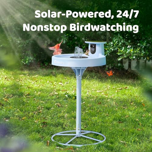 Smart Bird Bath with Camera Solar Powered & Fountain & Stand, Dual-Lens Camera for Wildbird Watching, Auto Capture Bird Videos & Motion Detection - AI by Subscription - style: AI by Subscription
