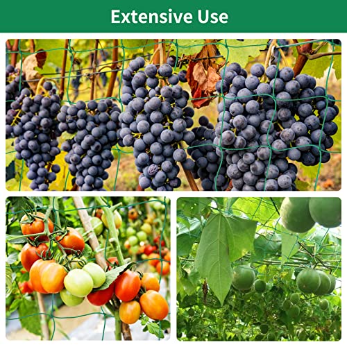 Trellis Netting for Climbing Plants Garden Plant Netting | 6 Ft x 12 Ft Green Heavy-Duty Plastic Plant Trellis Netting for Tomato, Cucumber, Plants, Fruits, Flowers