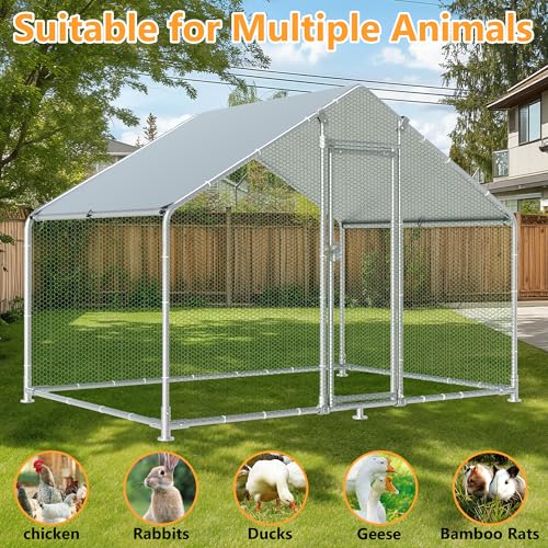 HITTITE Large Metal Chicken Coop with Run, 9.84 x 6.4 x 6.56 ft Walk in Poultry Cage Chicken Run Pen, Outdoor Chicken Runs for Yard with Waterproof & Anti-UV Cover - size: 118.0"L x 76.8"W x 78.7"H