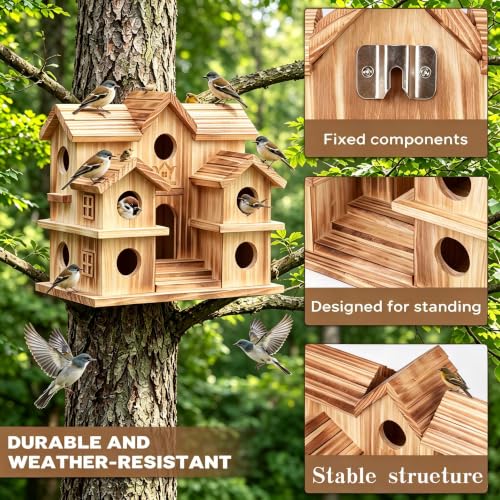 10-Room Purple Martin Bird House – Handcrafted Solid Cedar, Weatherproof