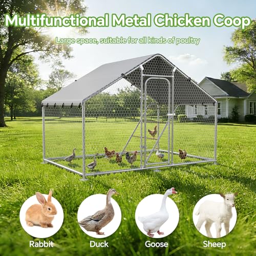 10 x 5 x 6.4 FT Metal Chicken Coop, Chicken Run with Cover | Walk-in Chicken Coop,Side Hardware Cloth,Waterproof Cover,Roosting Perch,Reinforced frame,Backyard & Farm Use - size: 59.9"L x 120.0"W x 78.0"H