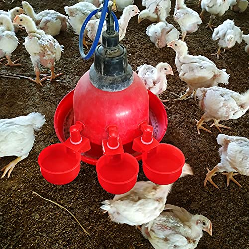 Patelai Chicken Water Cups, Chicken Waterer Cups Summer Water Feeder Cup 3/8 Inch Thread Automatic Filling Waterer Poultry Drinking Bowl for Duck Turkey Bunny(Red,48 Pieces) - color: Red