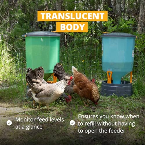 Stromberg's High Capacity Silo Poultry Feeder, 65 lb, Translucent Body, Easy to Clean, Feed Saver Grill, Elevated 6" Stand, Large Lid for Easy Filling, Durable & Efficient Design for Backyard & Farm