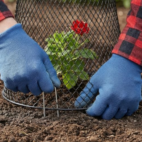 SOUJOY 10 Pcs 8"x8" Chicken Wire Plant Protect Covers, Metal Garden Cloche | UV-Resistant, Rustproof Metal Mesh with 30 Stakes & 20 Labels, Keeping Bunnies Chicken Squirrels Birds Out, Allows Airflow