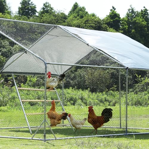 PETSFIT Square Chicken Roosting Perch, 55"x40", 8-10 Chickens | Solid Fir Wood,Chicken Perch for Backyard Farms, Coops, Encourages Exercise and Natural Behavior,Easy Assembly and Clean - size: 55.0"L x 40.0"W x 2.5"H