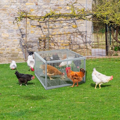 Chicken Trap with Escape-Proof Design, Birds Trap with One-Way Entry, Chicken, Duck, and Turkey Traps, Portable & Easy Assembly, Unharmful Made of High-Strength Iron with Anti-Rust Paint - size: 23.8"L x 23.8"W x 17.0"H