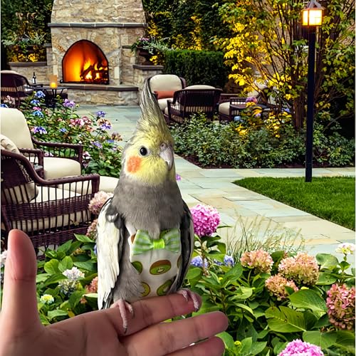 5 Pcs Bird Diapers Bird Harness Flight Suits Diapers Reusable Parrot Nappy with Waterproof Inner Layer Washable Cute Urine Wet Suit for Cockatiel Budgie Conure Macaw Parakeet Lovebird,M - size: M