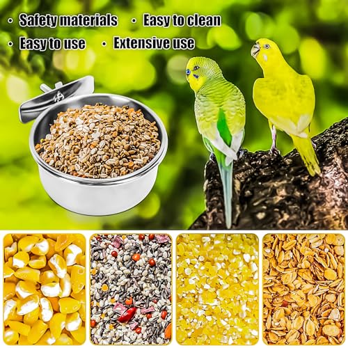 2 Pack Bird Feeding Bowls Cups Parrot Food Water Dishes, Stainless Steel Bird Bowl Cup Dish with Clamp, Birdcage Feeder Pet Cage Bowls for Cockatiel Budgie Conure Macaw Parakeet Small Animal - size: 2 Pack
