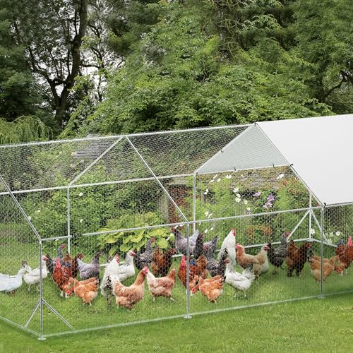 GarveeTech 6.5FT Walk in Chicken Coop Metal, Large Chicken Run with Triangular Brackets, Waterproof & Anti-UV Cover, Poultry Cage for Duck Goose Rabbit, Hen House for Yard Backyard Farm, 6.6' h - size: 9.8' x 19.7' x 6.6'