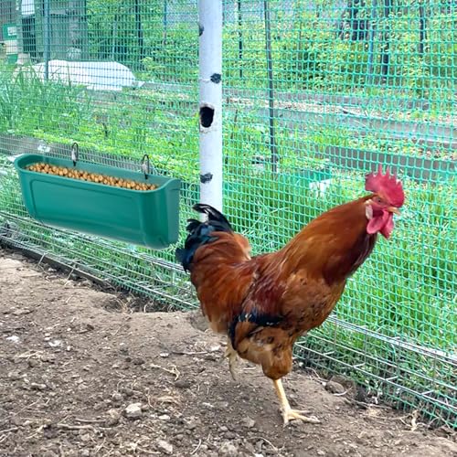 Lemecima Goat Feeders Fence Hanging, 3.5 Quart Chicken Feeder Trough for Livestock Poultry 4 Pack