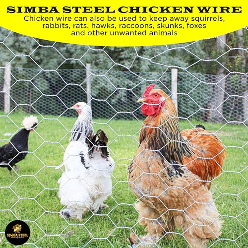 Chicken Wire 36 in x 200 FT x 2” Mesh x 20GA | Poultry Wire Netting | Hot Dipped Galvanized | Chicken Coop, Rabbit Cage, Fence Barrier (36 x 200 x 2) - style: 36 in x 200 FT x 2 in