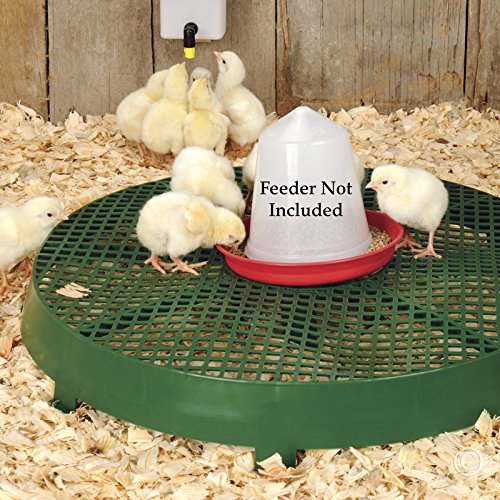 Premier 1 Poultry Feeder/Waterer Stand | Lifts feeders & waterers out of litter for cleaner high-traffic areas. Heavy plastic. 2.75"H x 21"W.