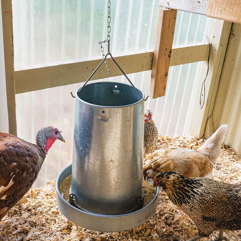 Premier 1 Galvanized Cone Feeder for Chickens & Poultry - 11 lb Capacity | Heavy-duty metal construction. Clever adjustment method. Free standing or hanging via built-in handle.