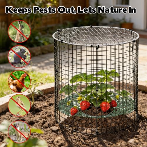 6 Pack Round Upgraded Strawberry Supports with Wire Covers Plant Protectors from Animal - All-in-One Garden Protection Kit to Defend Against Rabbits, Birds, Squirrels for Strawberries and Vegetables