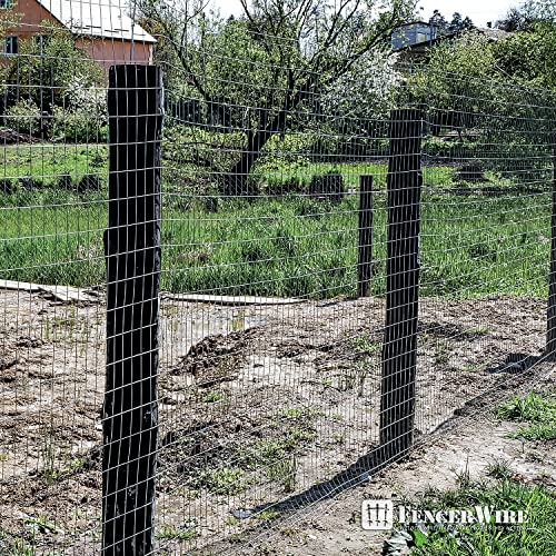 Fencer Wire Welded Wire 14 Gauge Galvanized Mesh Size 2 inch by 4 inch (3 ft. x 50 ft.) - size: 3 ft. x 50 ft.