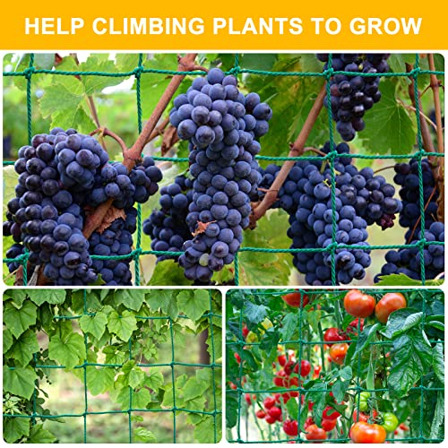 Garden Trellis Netting for Climbing Plants Outdoor, 6.6x26.2 FT Plant Netting for Cucumber, Tomato, 27 Strands Trellis Net with 4x4 Inch Mesh as Vegetable Netting for Grape, Bean - size: 6.6x26.2 FT