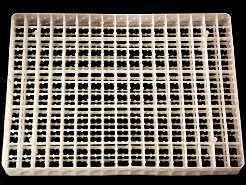221 Egg Small Egg Quail Bird Egg Tray for Cabinet INCUBATORS