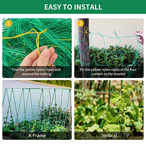 Trellis Netting for Climbing Plants Garden Plant Netting | 6 Ft x 12 Ft Green Heavy-Duty Plastic Plant Trellis Netting for Tomato, Cucumber, Plants, Fruits, Flowers