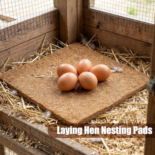 VioraWhite 10 Pack Chicken Nesting Pads 13x13'' Laying Hen Nesting Box Liners with 30 Pcs Wooden Fake Eggs Help Laying Hen for Chicken Coop Bedding Poultry Habitat Supplies
