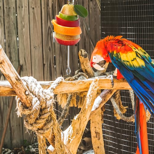 3 Pcs Bird Cage Food Holder Parrot, Stainless Steel Parrot Fruit Vegetable Stick Holders, Bird Food Treats Skewer, Birds Cage Feeder Foraging Toy Hanging Rodent Toy for Parakeet Budgie Macaw9.13inches
