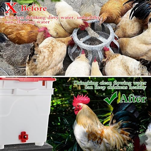12 Pcs Horizontal Chicken Waterer Nipples with Drill Bits, Leakproof Poultry Watering System for Chicken Coop, Durable ABS Plastic & Stainless Steel, Water Saving Design for Outdoor Use