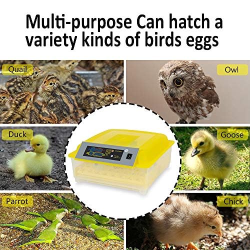CROSSDESIGN Automatic Digital Egg Incubator 48 Eggs Poultry Hatcher Machine Breeder w/Temperature Control & Auto Turning for Hatching Chicken Duck Goose Quail Birds - size: 48 Eggs