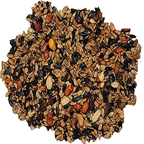 Wild Delight Sizzle N' Heat Bird Food, 5 lb (372050) (Pack of 2) - size: 5 Pound (Pack of 2), style: Sizzle N' Heat 5lb