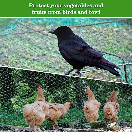 Sukh Bird Netting for Garden 13x33ft - Mesh Net for Garden Protection | Plastic Netting Cover for Trellis, Fence & Pond, Deer & Squirrel Proof for Fruit Tree Plant, Poultry Chicken Coop Cover