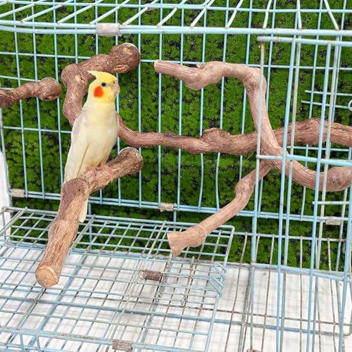 5 PCS Natural Grape Stick Perch Swing Chewing Toys for Parrot Cages, Cockatiels, Parakeets, Finches - Bird Standing Stick - color: 1
