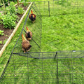 Heavy Duty Chicken Run Tunnel for Yard & Outside, Foldable & Expandable Chicken Tunnel, Portable Predator-Proof Poultry Playpen for Chickens, Rabbits & Ducks - size: Coop 1