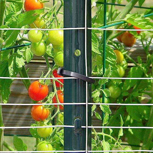 5 Feet Green, Pack of 10 Metal Fence Post, for 48 Inch High Garden Welded Wire Fence U-Channel Steel Garden Post - size: 5',10 PCS