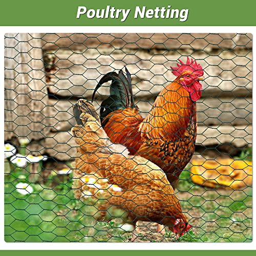 Chicken Wire Fencing Mesh, Galvanized Hexagonal Floral Chicken Wire, Outdoor Anti-Rust Poultry Netting for Garden Fence (4 ft x 100 ft, PVC Coated) - size: 4 ft x 100 ft