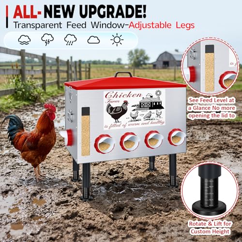 100Lb Automatic Chicken Feeder with Window 8 Port No Waste Rust-Proof Galvanized Steel with Locking Lid & Adjustable Height Legs Waterproof Portable Poultry Feeder for Chickens,Ducks,Geese
