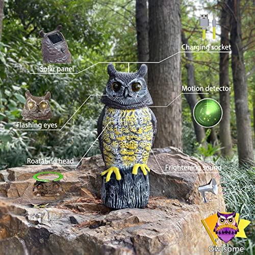 Solar Owl with Glowing Eyes, Rotating Head, Hoot Sound, Motion Detector and Silent Mode, Plastic Owl Garden Sculpture, Garden Decoration