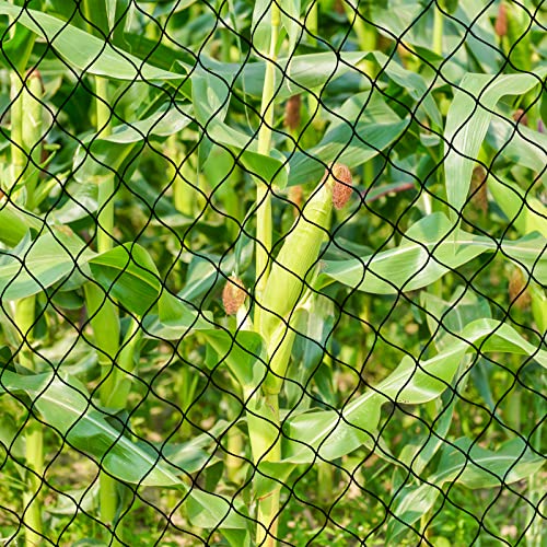 BSTPCOO Bird Net 25'x25' with 2.4" Square Mesh Bird Netting for Chicken Coop Roof, Poultry Netting Heavy Duty Nylon for Garden, Chicken Netting Fruit Tree Netting, Hawk Netting for Chicken Run | Heavy Duty Nylon Poultry Netting for Garden, Chicken Netting