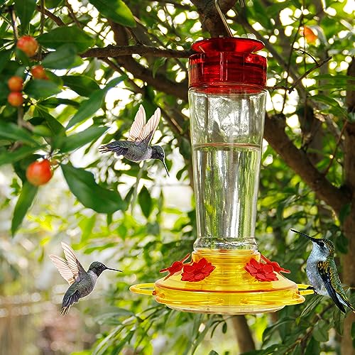 Shrdaepe Hummingbird Feeder, Glass Bottle Bird Feeders, 5 Feeding Ports (Red & Yellow) - color: Red & Yellow