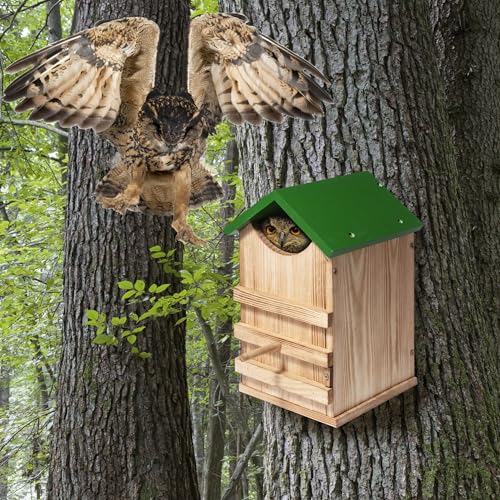 Screech Owl House Owl Box with Bird Stand Design | Nesting Box Wood with Mounting Screws, Cozy House for Lovely Birds, Easy Assembly Required - color: Green
