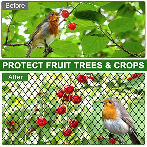 DQS Bird Netting 25' x 25' with 2.4" Mesh, Heavy Duty Nylon Garden Net | Poultry Netting for Chicken Coop, Garden Protection, Hawk Net for Chicken Run, Fruit Tree Net Against Aviary, Deer, Squirrel - size: 2.4", 25' x25'