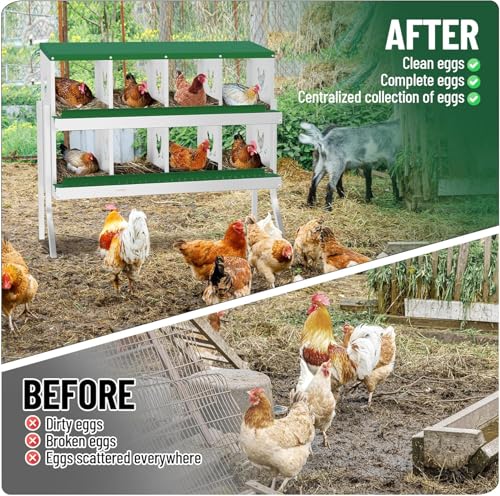 Galvanized Steel Chicken Nesting Box 8 Grids, Metal Egg Laying Boxes for Hens with Hinged Lid and Ventilated Design, Easy Clean Poultry Nest Box for Chicken Coop Accessories, Green, with Legs - color: Green, size: 8 Holes with Legs