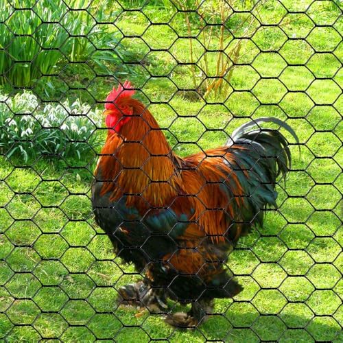 PVC Hexagonal Poultry Netting Chicken Wire 12" x150' x 1" Mesh 20GA Black - size: 12"x150'-1" 20GA