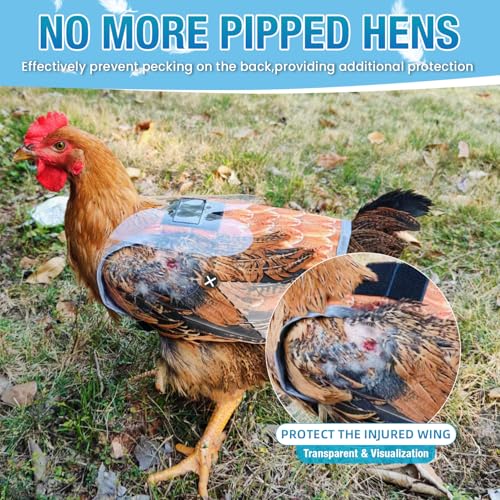 Chicken Saddle with Wing Protector - Chicken Aprons & Vest Jacket for Hens | Chicken Saddles for Hens With Adjustable Straps (Black)