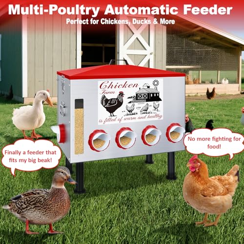100Lb Automatic Chicken Feeder with Window 8 Port No Waste Rust-Proof Galvanized Steel with Locking Lid & Adjustable Height Legs Waterproof Portable Poultry Feeder for Chickens,Ducks,Geese