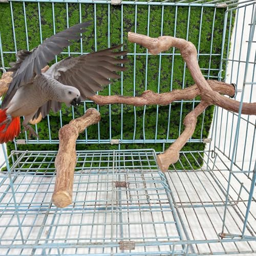 4PCS Bird Perch Natural Grape Stick Bird Standing Stick Grapevine | Swing Chewing Toys Natural Grapevine Cage Perch For Parrot Cages Toy for Cockatiels, Parakeets, Finches - color: 4PCS Natural Grape Stick